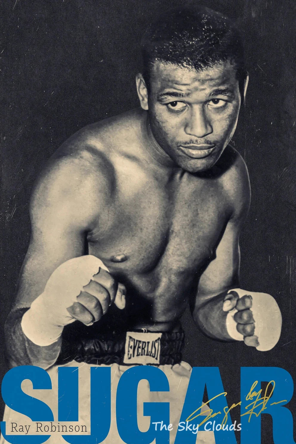 Plakat Mike Tyson – Kolorowy