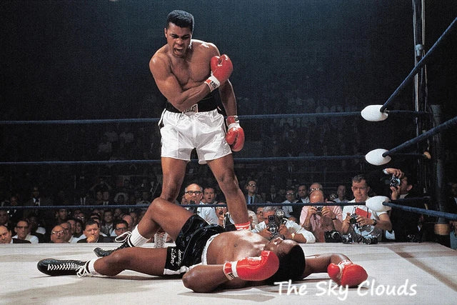 Plakat Mike Tyson – Kolorowy